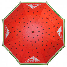 Load image into Gallery viewer, Axiom Umbrella Watermelon Edition
